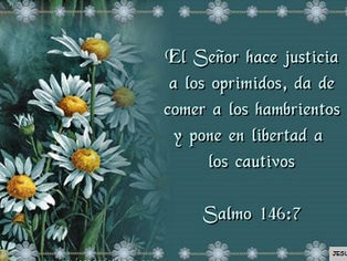 Del 06 al 11 de agosto