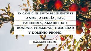 Del 8 al 13 de noviembre!