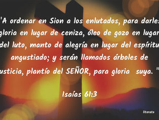 Del 13 al 18 diciembre!