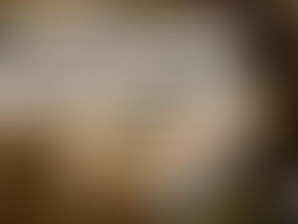 Del 10 al 15 de enero!