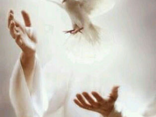 Del 25 al 30 de mayo