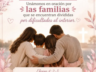 Del 6 al 11 de julio!!