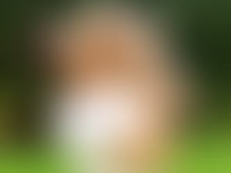 Del 13 al 18 de junio!!