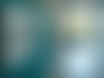 Defining Mission-Driven Organizations for Success