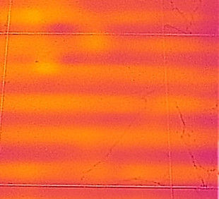 IMG_0210.jpeg