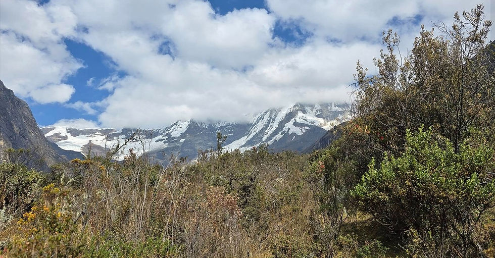 paisaje peru gonzalo.jpg
