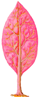 Feuille rose.png