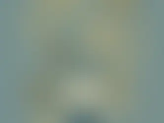 Bitcoin Milestone: 11 Spot Bitcoin ETFs Approved by SEC.