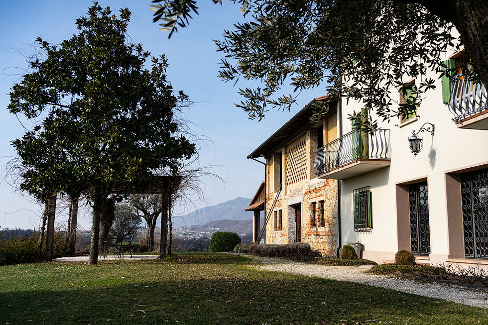 Miniatura: WINE SIGNATURE - AZIENDA GHISOLANA (TV)