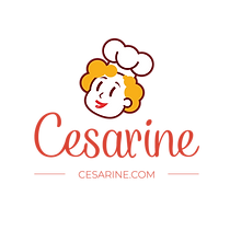 Copia di LOGO NEW .COM.png