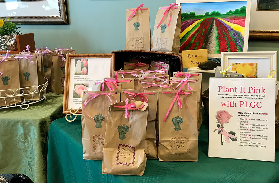 Bulbs for Plant It Pink