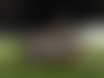 Richmond Take Full Points from Surrey Sports Park Double Header