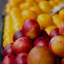 shallow focus photography of red apple f