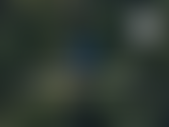 EcoVadis Silver Medal: A New Milestone in Our Sustainability Journey