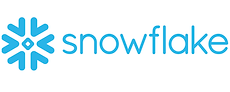 snowflake (1).png