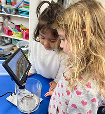 IMG_5845 (2)_edited.jpg