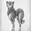 Miniaturbild: proud cheetah / 30x120cm