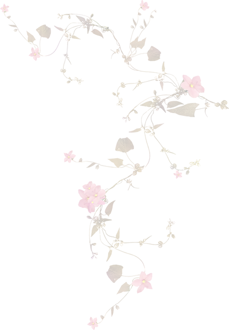 pngwing.com (1).png
