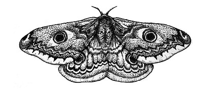 bye en heuningkoek-tattoo-ontwerpe