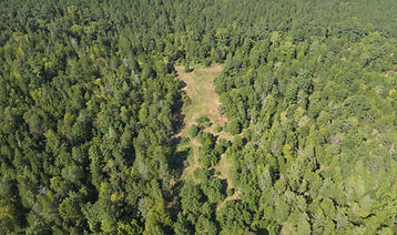 Big Field Back View W.JPG