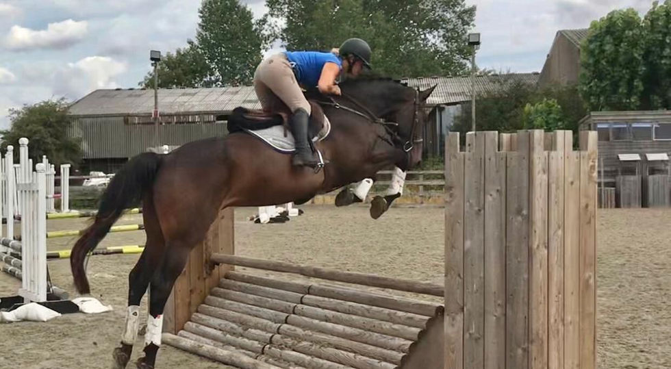 43e38ca6-1729-4d65-8061-fa1fd1cfbedd.jfif