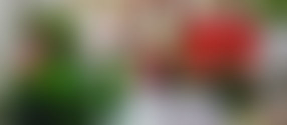 3 février 2023: Fête de Saint-Blaise