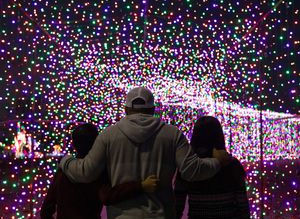 What appears to be a man and two younger children face away from the camera and toward thousands of various colored christmas lights that have been used to form a tunnel of lights featured at Christmas in the Park - a holiday light display.