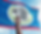 A Belize flag with a hand holding a fan of money