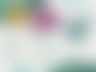 Projecte equilibri 2025