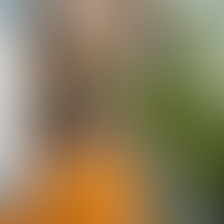 Descubra como a fotografia de arquitetura pode impactar a venda ou locação do seu imóvel