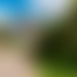 A importância da fotografia na Arquitetura