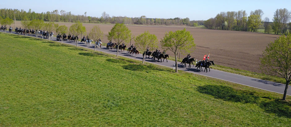 Bilder 2019 | Osterprozession – Wittichenau | osterreiten.com