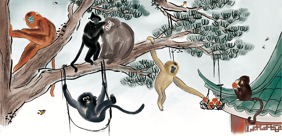Illustration du livre jeunesse 2000 ans de sagesse, une aventure d'Abi le singe, éditions Ô Fil de Lau