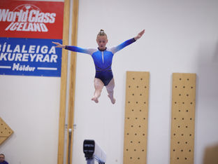 Frábær árangur Bjarkar á haustmóti FSÍ 🌟