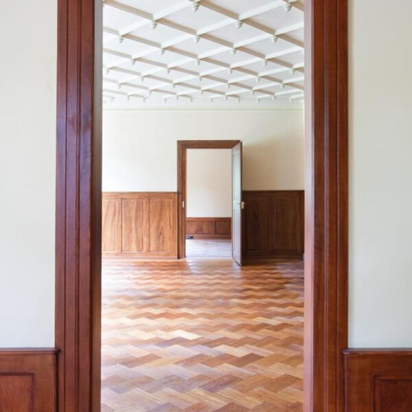 Traitement des sols Aglaia