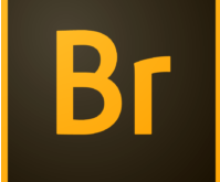 Download Adobe Bridge CC 2017 Free