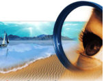 Adobe Photoshop 7 Free Download