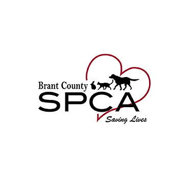 Brant_County_Logo238x150_edited.png
