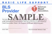 BLS-1image.png