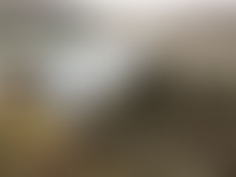 Plantas de tratamiento robustas son la solución a la contaminación de la Presa Madín