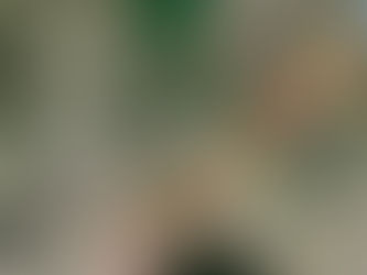 Hasta 2023 tren a Sta. Lucía