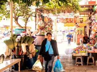 Los Cabos cuenta actualmente con más de 43 mil unidades económicas activas, de las cuales el 61 % pertenece al sector formal,