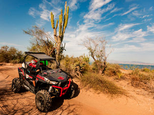 The expansion of illegal construction, the use of motorized vehicles on the sand, and the lack of effective regulation are threatening one of the state's most fragile ecosystems.