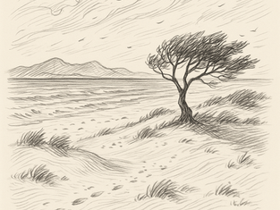 Today I wondered: what part of me has changed because of the wind?
