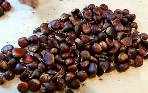 dix-sur-dix-en-cuisine-recettes_edited_e
