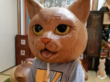 ニャンとびっくり！猫だらけ🐈