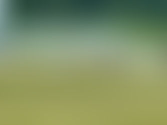 5.Platz beim Turnier des FSV Schröck