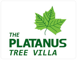 platanus logo