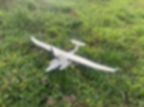 Micro SkiGull