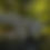 Thumbnail: Scrubby Carbon Cub